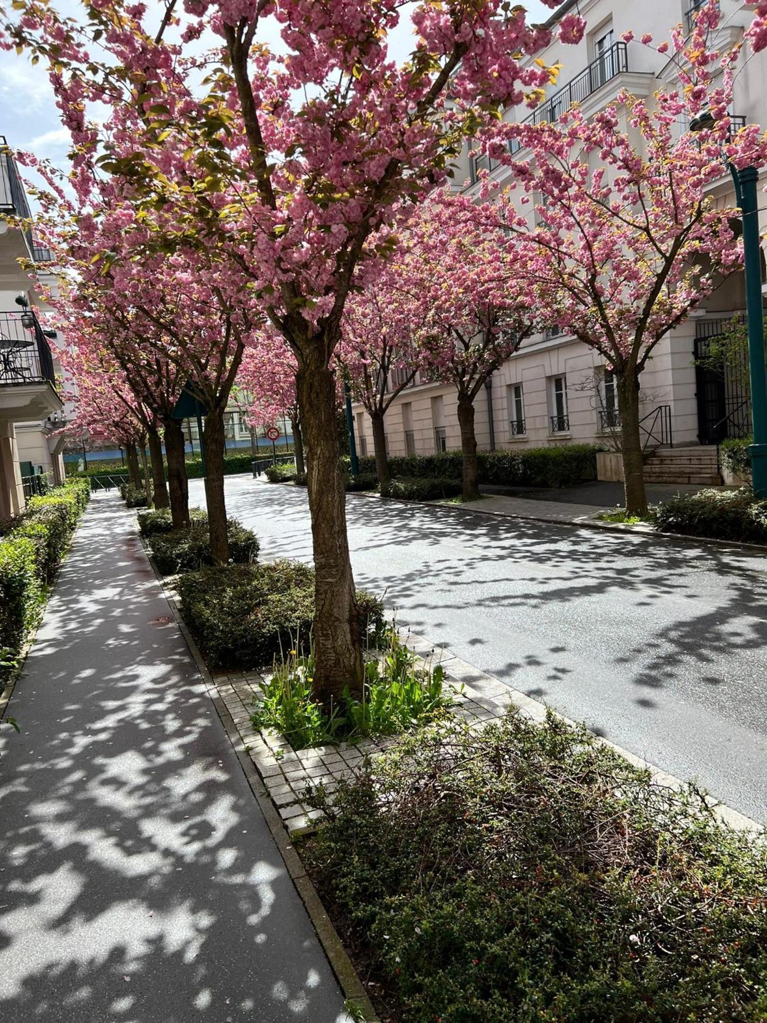 Sweet Appartement Disneyland Paris Parking 300M Station Val D'Europe Chessy  Exterior foto